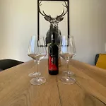 Appartement Schladming Neu